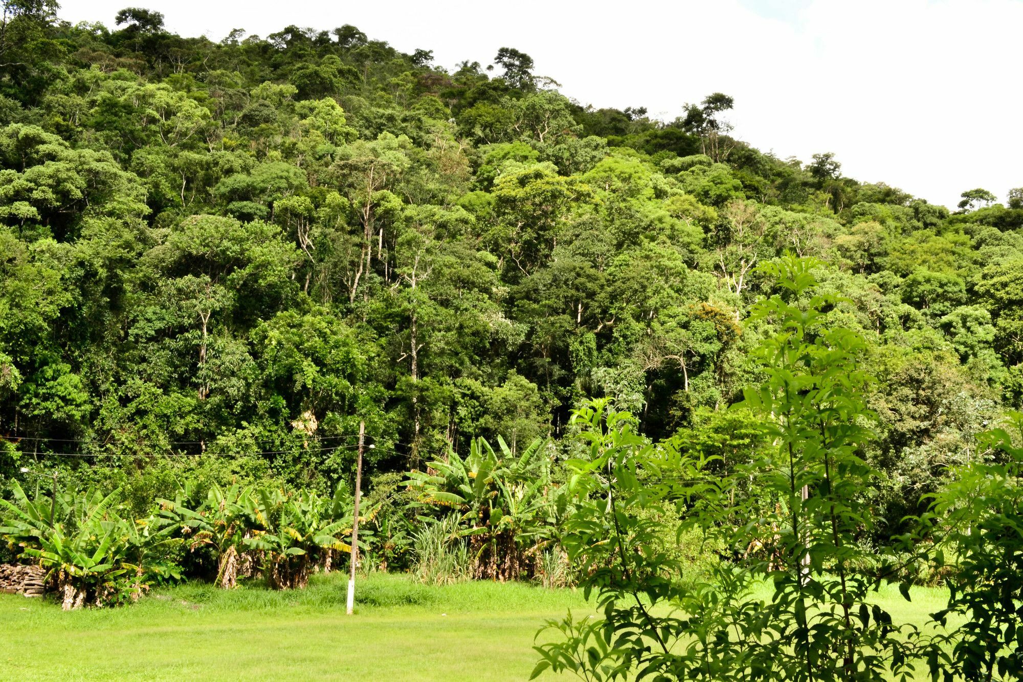 Vale Verde Penedo Hotel Exterior photo